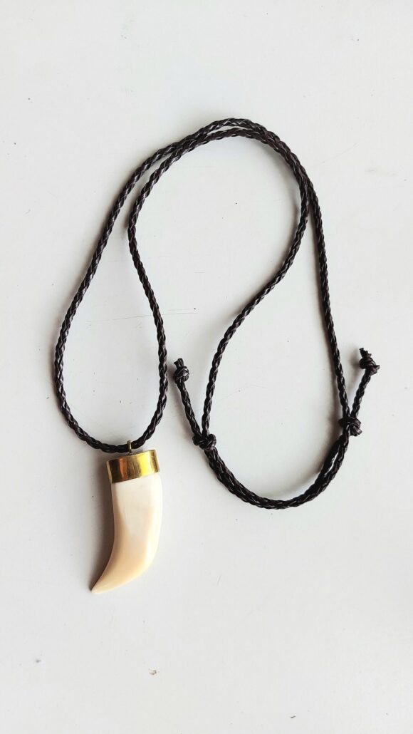 Real camel tooth unisex necklace - Image 4