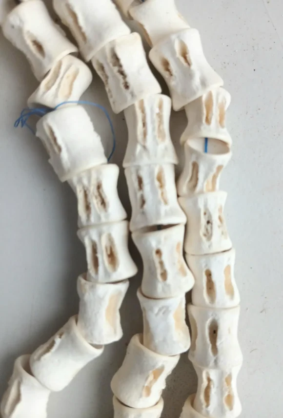 Fish bone beads, #7 - Image 2