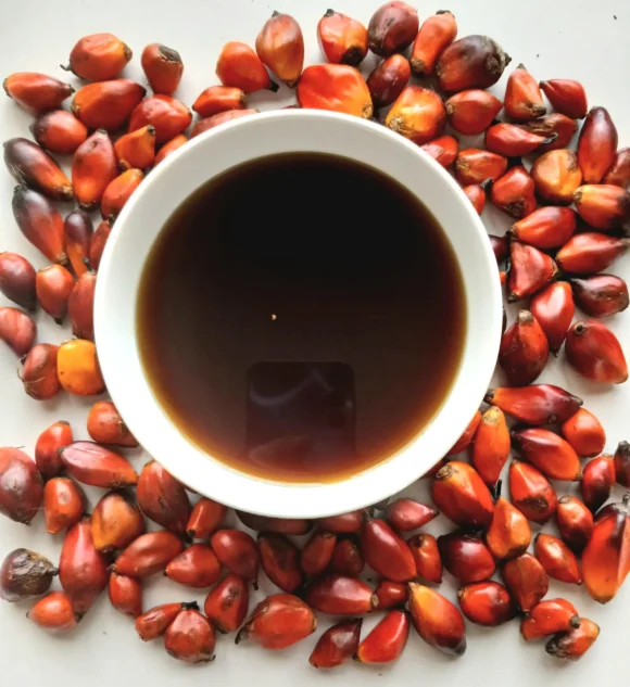 Palm kernel oil from Ghana, batana oil, 100% organic, raw, 1 liter, glass bottle (33.81 fl. oz) - Image 2